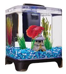 Desk fish tank office full image for. Imagitarium Betta Desktop Kit 1 4 Gal Petco