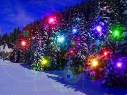Christmas Tree Light In Snow Christmas Lights Christmas Lights Snow Snowy Tre Christmas Lights Wallpaper Christmas Lights Background Christmas Wallpaper