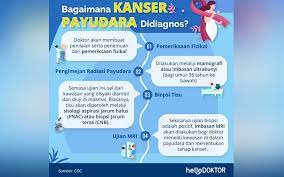 Berikut cara mencegah kanker payudara yang perlu anda terapkan, diantaranya operasi atau tindakan pembedahan merupakan salah satu jenis pengobatan secara medis yang dilakukan untuk mencegah sel kanker mengalami penyebaran ke organ tubuh yang lain. Cara Cegah Kanser Payudara Ini Wajib Anda Lakukan Free Malaysia Today Fmt