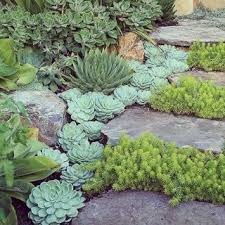 Pin Von Kate Leonard Auf Gardens To Fall In Love With Vorgarten Landschaftsbau Vorgarten Steingarten Anlegen