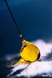 Jose Andres S Caramelized Oil Molecular Food Molecular Cooking Molecular Gastronomy
