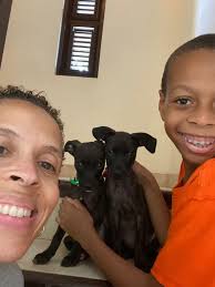 Yet another well rescue by our very own Inspector Wayne Norville! This poor  dog was stuck in this well for God knows how long and luckily a passer-by  heard faint cries for