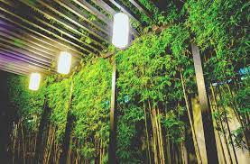 How to charge solar lights without sun. Smart Tips On How To Charge Solar Lights Without Sun