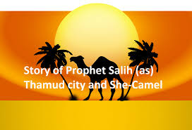 She knows that as soon as it happens, all who was hired by the duke, will be killed. Story Of Prophet Salih As And Thamud City Muhammadi Site