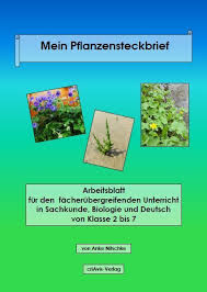 Das wattenmeer ist ein wahres eldorado für vögel, würmer, fische und sogar korallen. Mein Pflanzen Steckbrief Criavis Verlag