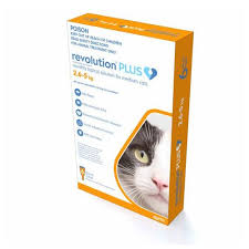 Revolution is available as a 15mg/0.25ml puppy/kitten dose for puppies older than 6 weeks and kittens older than 8 weeks weighing up to 5 lbs. Revolution Plus Flea Worm And Tick Prevention For Medium Cats 5 6 11 Lbs 2 5 5 Kg Orange 6 Pack