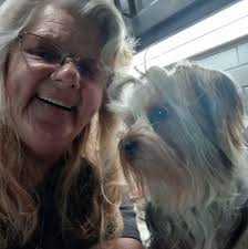 Recommendations for a good veterinarian