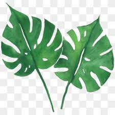 Boboiboy leaf, also known as boboiboy daun, is a new character that makes his debut in episode 5 of boboiboy galaxy as one of boboiboy's new elemental forms. Watercolor Tropical Leaves Tutorial Hd Png Download Watercolor Splash Png Watercolor Leaves Watercolor Circles