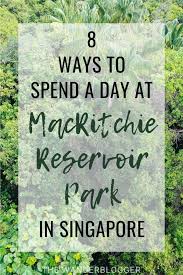 8 Things To Do At Macritchie Reservoir Park In Singapore Fun Places To Go Reservoir Singapore