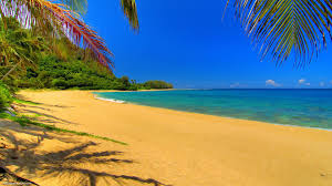 Best summer wallpaper, desktop background for any computer, laptop, tablet and phone. Summer Desktop Backgrounds Free Group 83