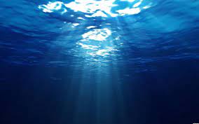 We did not find results for: Deep Sea Wallpapers Top Free Deep Sea Backgrounds Wallpaperaccess