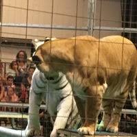 Our pledge is love, respect and sanctuary for life for all the 150+ animals here. Big Cat Habitat Gulf Coast Sanctuary Sarasota Fl