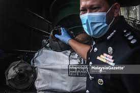 Ea turun dan periksa kereta. Kumpulan Curi Ekzos Untuk Hasilkan Emas Putih Dicekup Polis