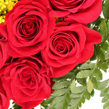 Invia rose rosse a san valentino. Bouquet Di Rose Rosse La Violetta Fiorai Da Due Generazioni