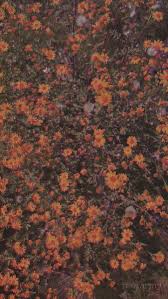 We did not find results for: Brown Aesthetic Background Posted By Samantha Walker