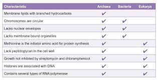 Archaea Vs Eubacteria Bioninja