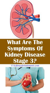 Kidney Malfunction Kidney Disease Recipes Kidney Disease Stages Kidney Disease