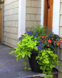 Shade flowers for planter boxes. 12 Beautiful Container Gardening Ideas For Shade An Oregon Cottage
