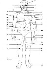Pressure Points In Hapkido Enter The Of The Pressure