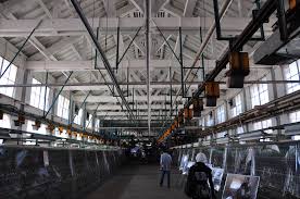 Maybe you would like to learn more about one of these? Tomioka Silk Mill Wikipedia
