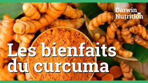 Que faire avec du curcuma. Curcuma L Epice Detox Bienfaits Posologie Effets Secondaires