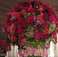 Maybe you would like to learn more about one of these? Wedding Flowers Wedding Flowers Wholesale Flowers Wedding Bulk Wedding Flowers