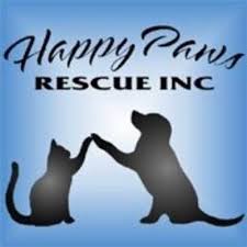 Maybe you would like to learn more about one of these? Happy Paws Rescue On Twitter Bonnie Was Adopted Good Luck And Happy Tails Little Girl We Can T Wait To Watch You On Your Adventures Adoptionrocks Https T Co W0zczcvwcf