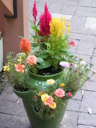 Strawberry Pot From Patty P Filled With Portulaca And Celosia Strawberry Plants Plants Strawberry Pots