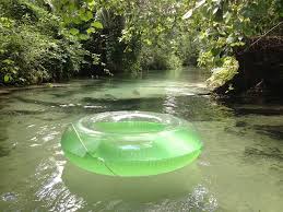 After being closed for nearly a year during the covid pandemic, the swimming and tubing areas at rock springs within kelly park are again open to the public with the park operating at half capacity. Rock Springs Run At Kelly Park Reopens With Limited Capacity Blogs