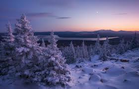 Verzameling door gehor • 9 weken geleden laatst bijgewerkt. Achtergronden Rusland Natuur Winter Koude Sneeuw Landschap Bomen 1920x1231 Wallpapermaniac 1700891 Leuke Achtergronden Wallhere