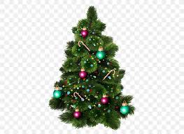 Christmas Tree Brush New Year Tree Png 600x600px Christmas Tree Brush Christmas Christmas Decoration Christmas Ornament