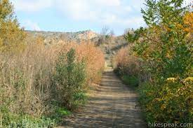 Carbon canyon regional park is a regional park in brea, california that was created after the carbon canyon creek was dammed. Redwood Grove Trail Carbon Canyon Regional Park Hikespeak Com