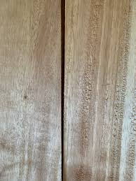 Image result for Albizia falcataria