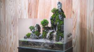 Waterfall to be placed in the left corner of you tank. Making A Cliff Aquaterrarium With Flowing Waterfalls Youtube