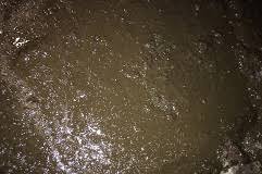 Van de transporteurs, boeren en mestverwerkers is 64 procent. Gevangenisstraffen Geeist In Onderzoek Naar Stelselmatige Mestfraude Deloonwerker Nl