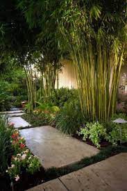 Bamboo Oriental Restaurant Zen Garden Bamboo Tropical Landscape Design Japanese Garden Design Garden Design