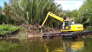 Penemuan bangkai babi mati akibat kolera yang dibuang di danau siombak, kecamatan marelan, medan, sumatera utara. Diangkut Gunakan Alat Berat 351 Bangkai Babi Dikubur Di Tepi Danau Siombak