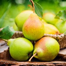 We did not find results for: Pere Tre S Frut