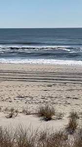 Make restaurant reservations and read reviews. Lbi Pest Control Llc Home Facebook