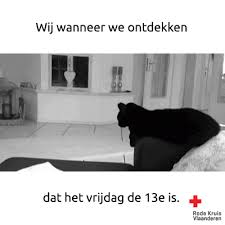 Een mooie dag om te schrijven wat er zoal mis kan gaan in een imkerij.nou, dat is best wel veel.en ik leer net mijn dochter wat de wet van murphy is. Vrijdag De Dertiende Gifs Get The Best Gif On Giphy