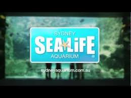 Pin By International Scholar Laureate On Australia Attractions In Sydney Life Sea Life