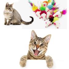 Deessesale 1pc Chat Souris Real Fourrure De Sable Sons Mignon Faux Jouets Zjw11261437 Achat Vente Kit Jouet Activite Deessesale 1pc Chat Souris Cdiscount Vous aimez les chats ? cdiscount com