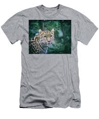 Amur Leopard Mens T Shirt Athletic Fit