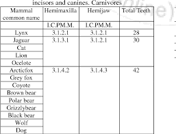 5% off all subsequent orders. Pdf Dental Formulas Of Humans And Other Mammals Classification According To Their Evolution Semantic Scholar