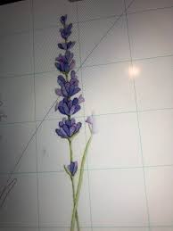 Hope you guys have been loving these doodle tutorial videos! I Have A Huge Question This Isnt My Drawing Btw I M Trying To Draw This Lavender Plant I Have A Sketch But How Would I Do The No Our Line Look