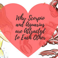 They have eight legs and are easily recognized by the pair of grasping pedipalps and the narrow, segmented tail, often carried in a. Why Scorpio And Aquarius Are Attracted To Each Other Pairedlife