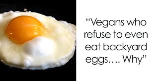 Selling fresh back yard eggs. Tumblr Users Tell Vegans That There S An Ethical Way To Eat Eggs And Honey Bored Panda