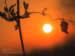 Here Comes The Sun A Sunrise In Spring Novelty Lamp Sunrise Here Comes