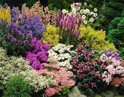 Moving Company Quotes Tips To Plan Your Move Mymove Inexpensive Landscaping Colorful Landscaping Small Flower Gardens