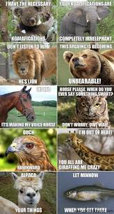 Pin By Mattison Johnston On A Laughing Matter Funny Animal Jokes Animal Jokes Funny Animals Find and save funny clean joke memes | from instagram, facebook, tumblr, twitter & more. funny animal jokes